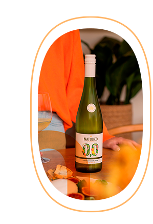Fles Torres Natureo Chardonnay 0,0%